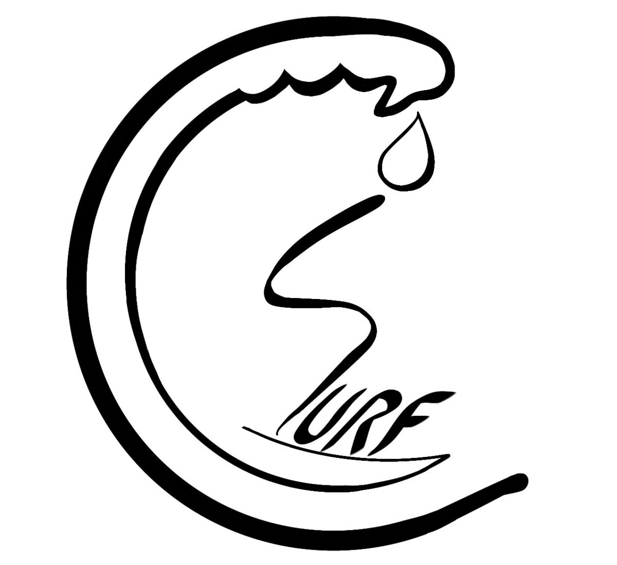 logo-csurf1-1200x1098.jpg