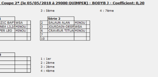 https://www.ligue-bretagne-surf.bzh/wp-content/uploads/2018/05/Tableau-Bodyboard-Junior-BST-La-Torche-Espoir-540x263.png