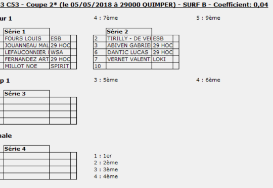 https://www.ligue-bretagne-surf.bzh/wp-content/uploads/2018/05/Tableau-Surf-Benjamin-BST-La-Torche-Espoir-540x373.png