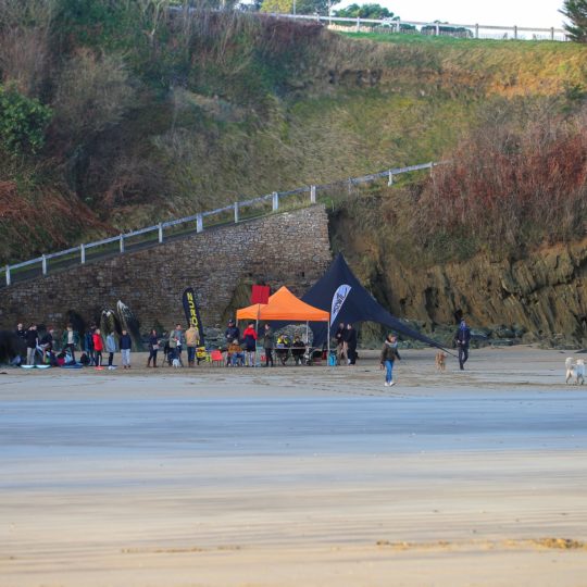 https://www.ligue-bretagne-surf.bzh/wp-content/uploads/2019/03/53048066_1674758196002670_7384119882243112960_o-540x540.jpg