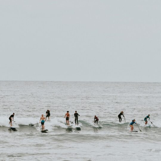 https://www.ligue-bretagne-surf.bzh/wp-content/uploads/2025/06/FB_IMG_1749543673098-540x540.jpg