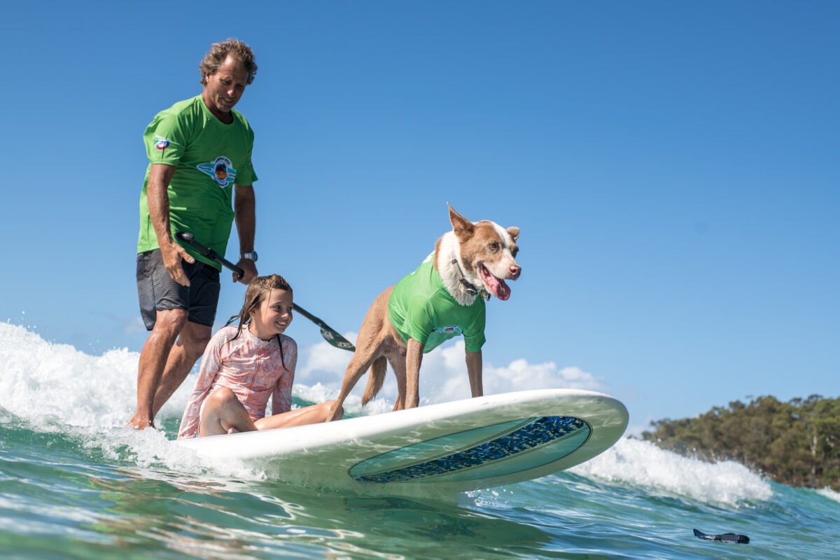 https://www.ligue-bretagne-surf.bzh/wp-content/uploads/2025/06/NFOS-Saturday-4-March-24-1200x800.jpg
